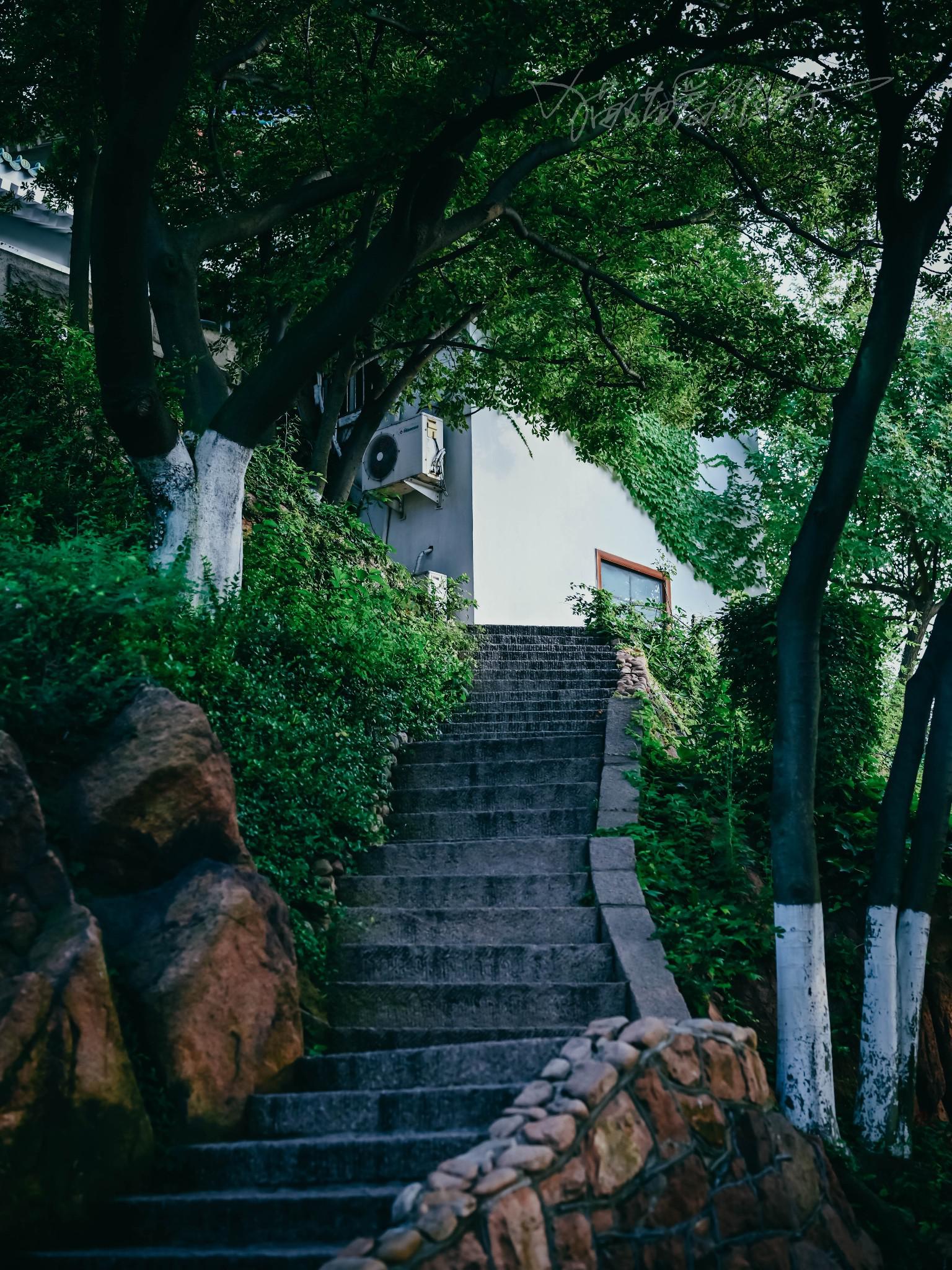 电子处方